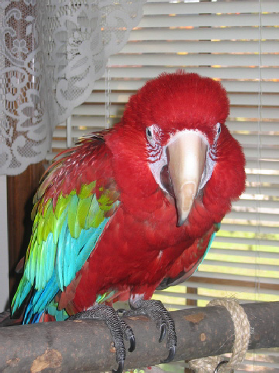 wpefd0407d.png